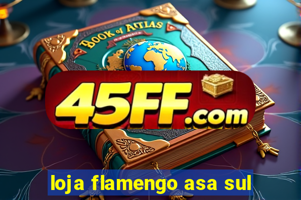 loja flamengo asa sul